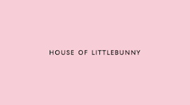 The House of Little Bunny