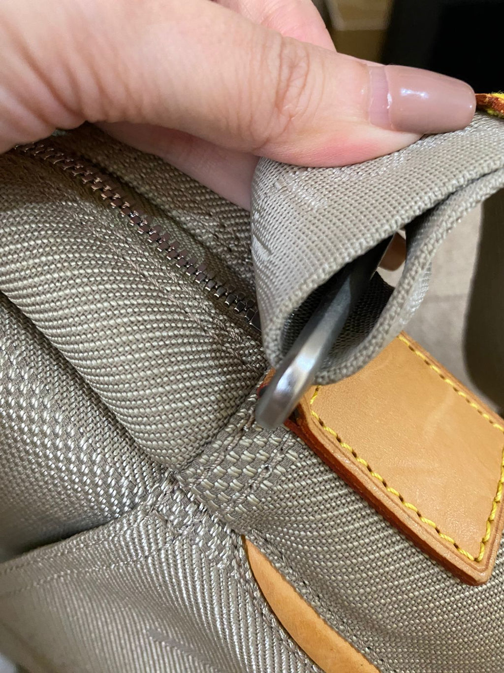 Louis Vuitton Damier Geant Citadan Crossbody Bag