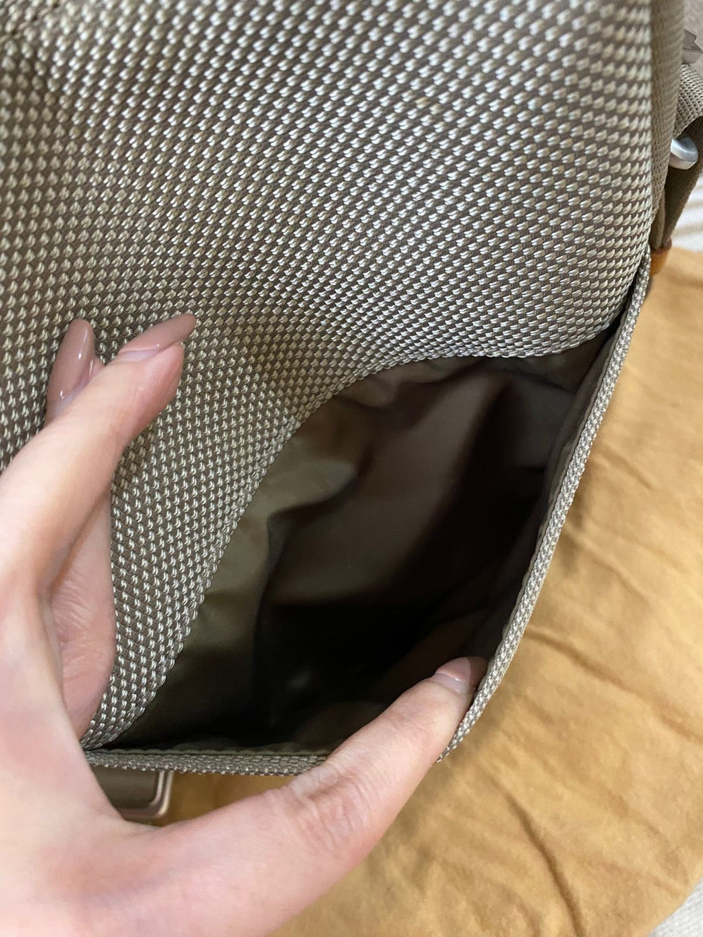 Louis Vuitton Damier Geant Citadan Crossbody Bag