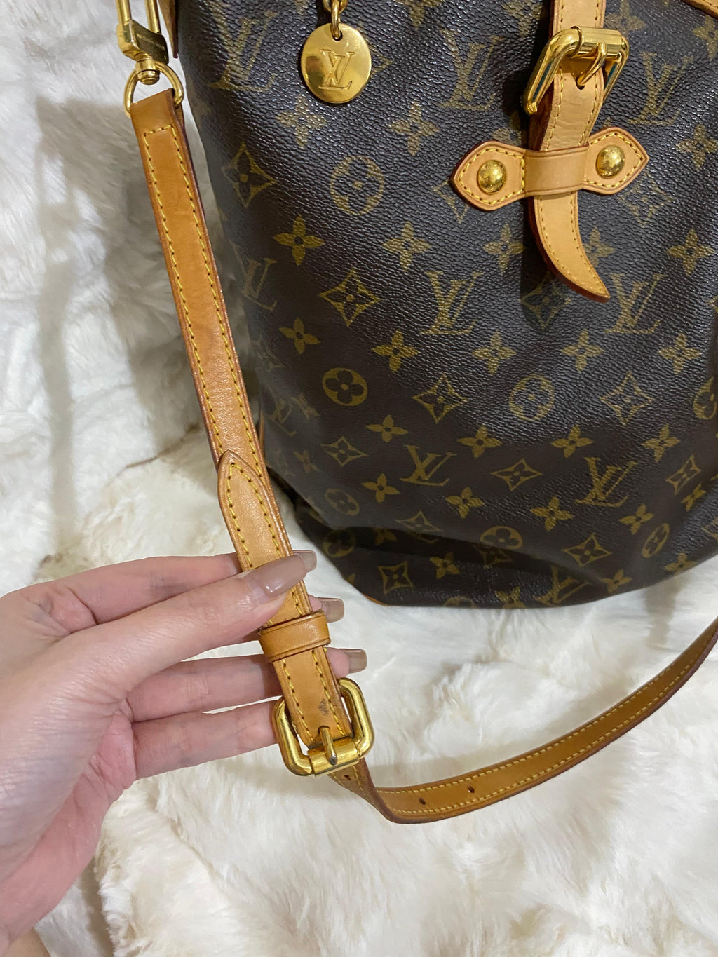 Louis Vuitton Monogram Palermo GM