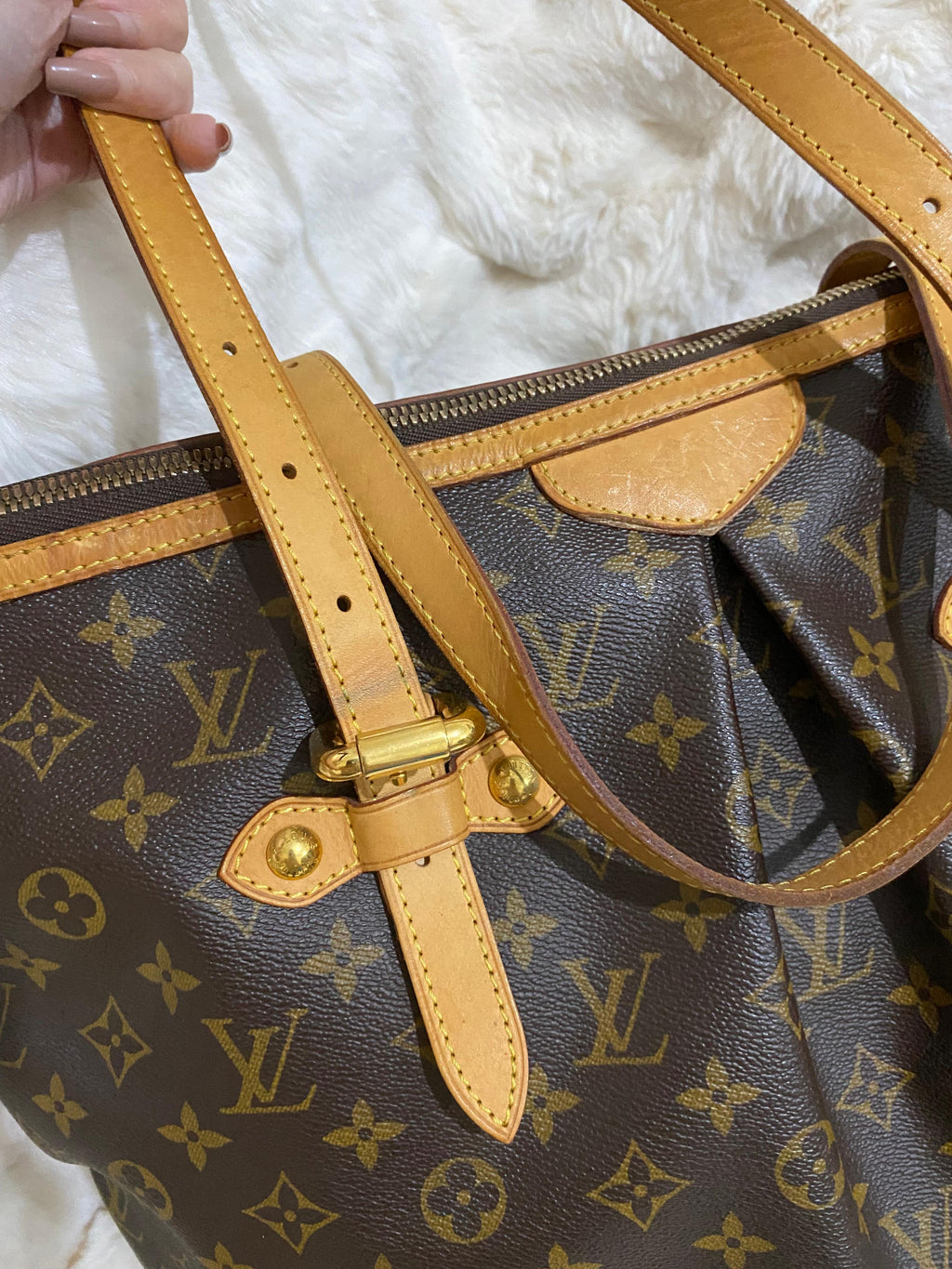 Louis Vuitton Monogram Palermo GM