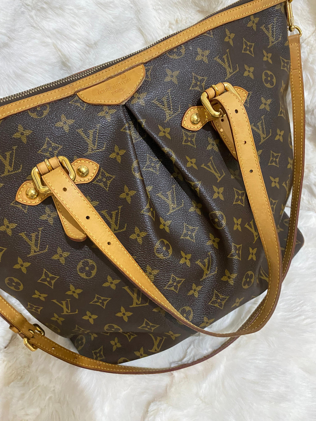 Louis Vuitton Monogram Palermo GM
