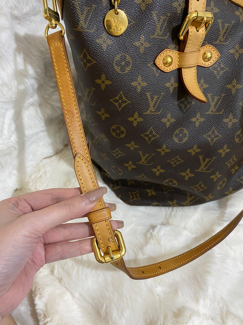 Louis Vuitton Monogram Palermo GM