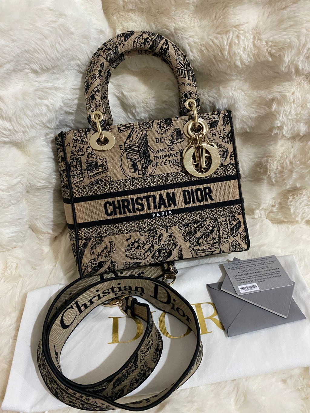 Christian Dior Lady D-Lite Medium