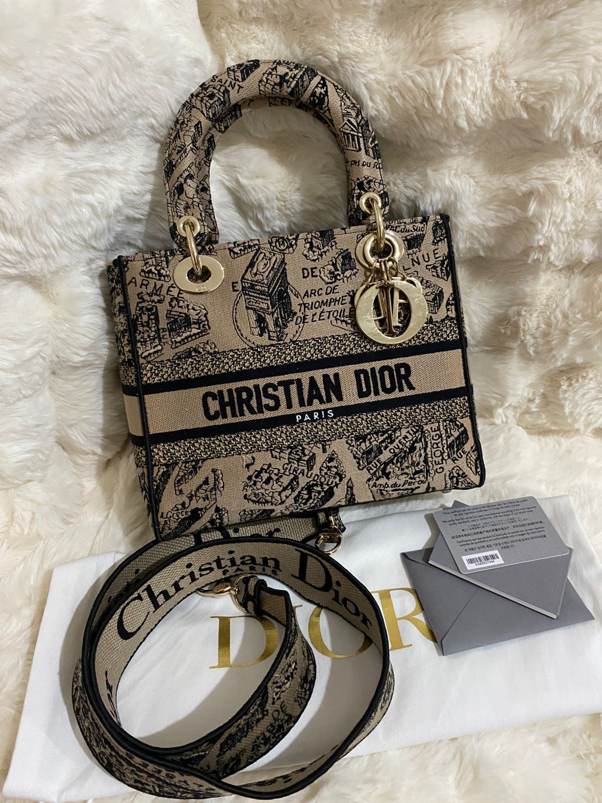 Christian Dior Lady D-Lite Medium
