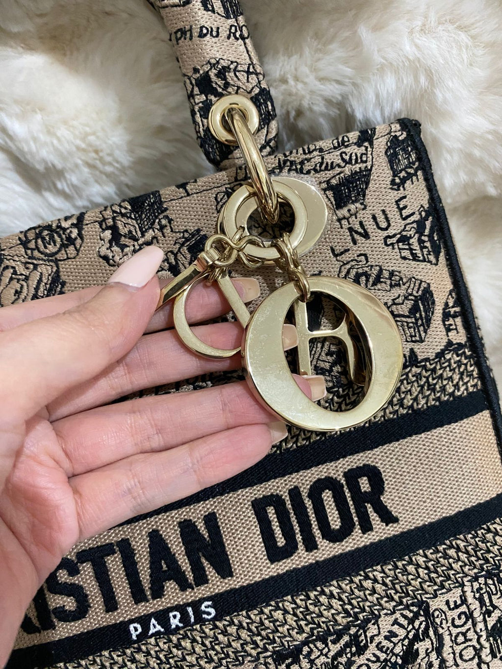 Christian Dior Lady D-Lite Medium
