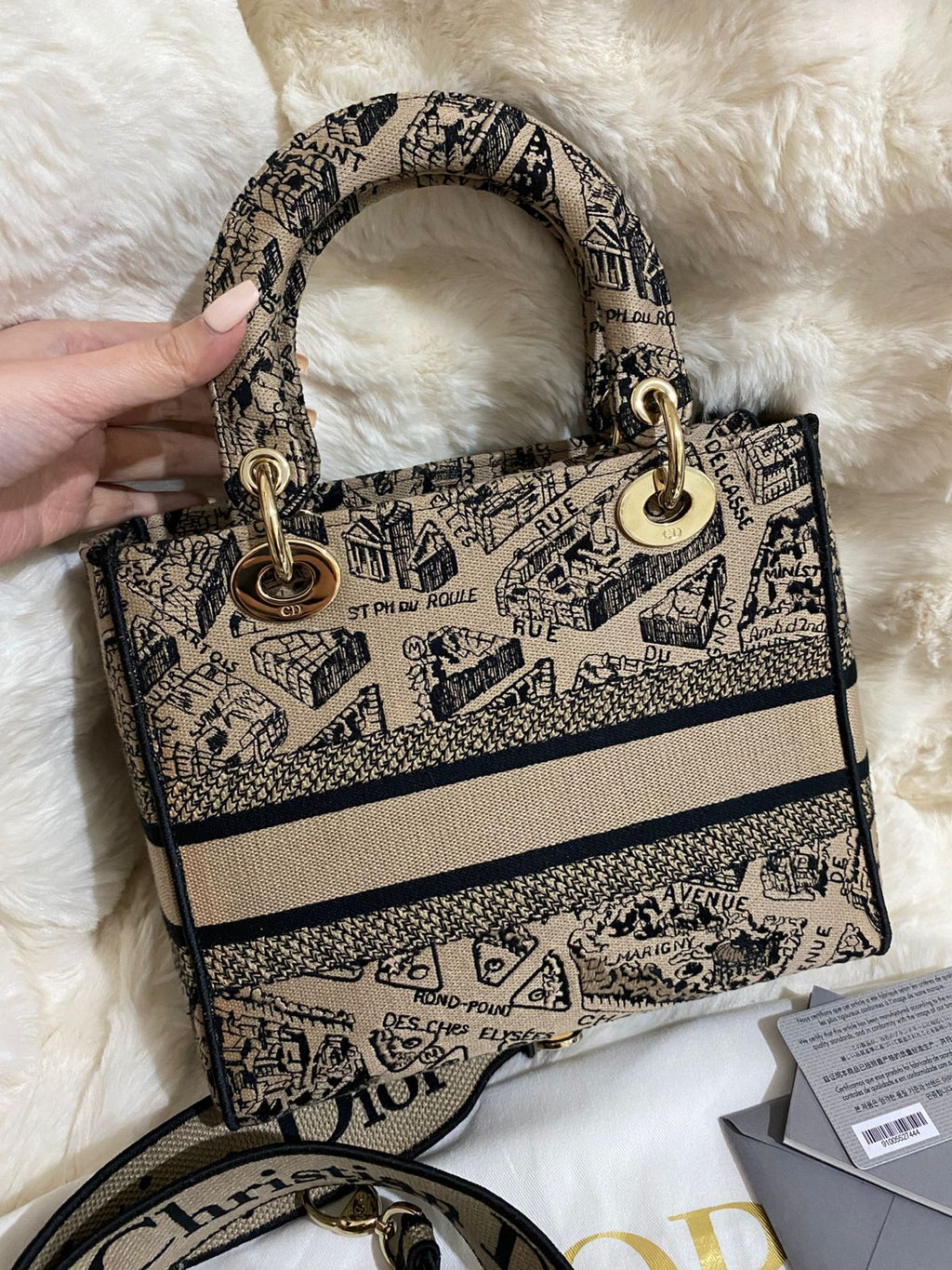 Christian Dior Lady D-Lite Medium