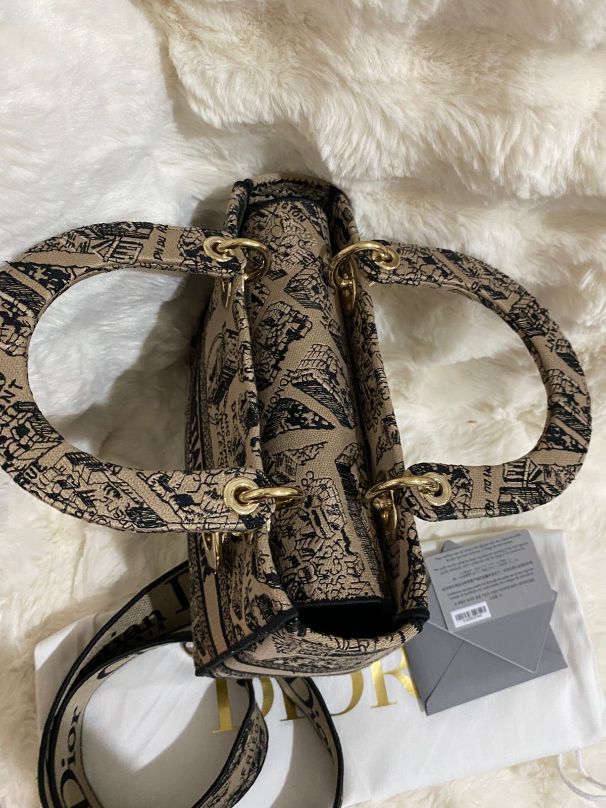 Christian Dior Lady D-Lite Medium