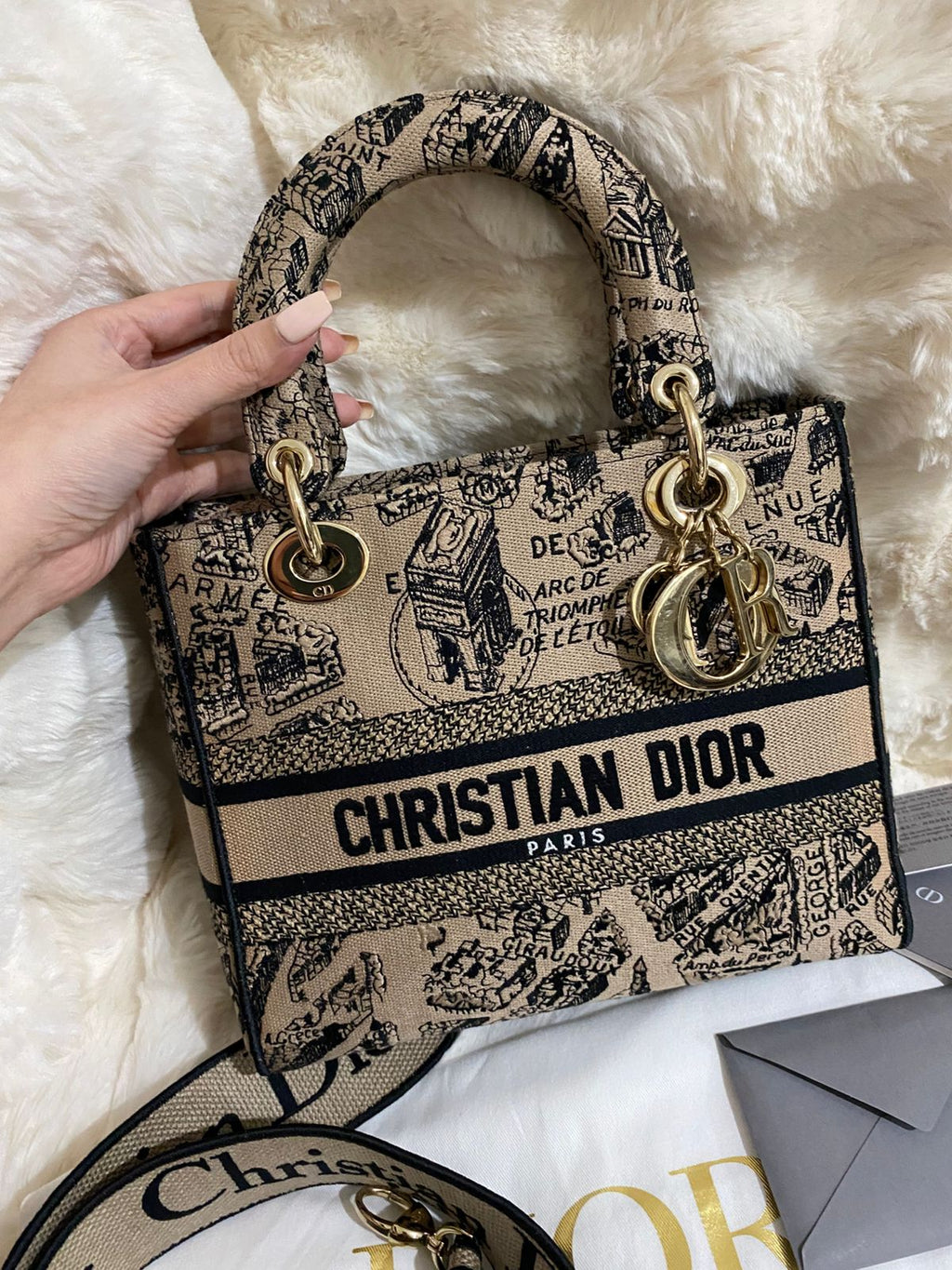 Christian Dior Lady D-Lite Medium