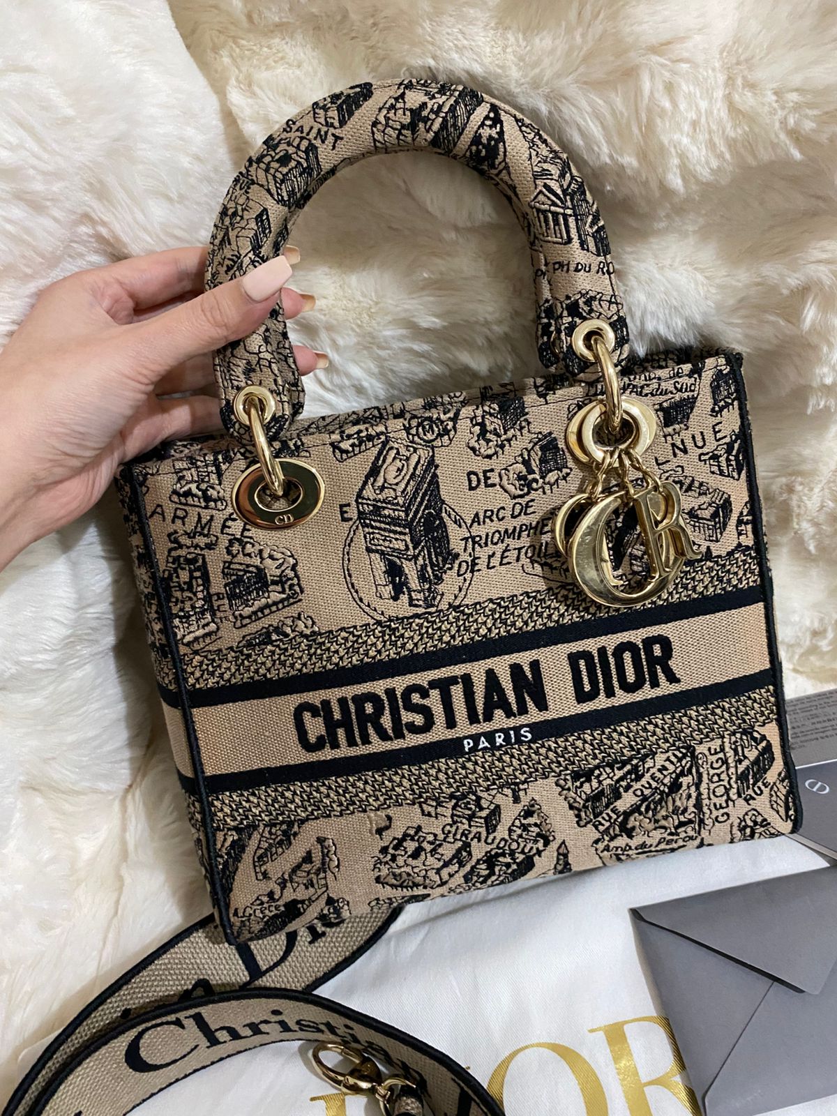 Christian Dior Lady D-Lite Medium