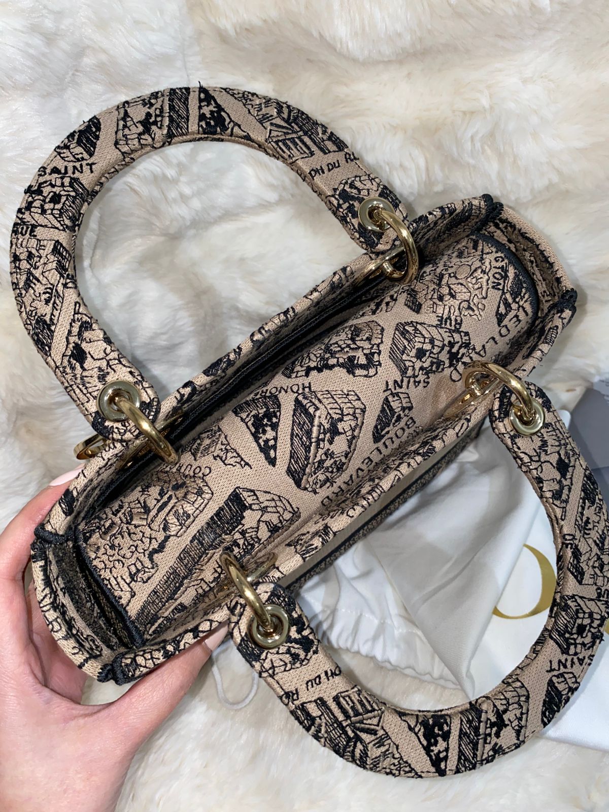 Christian Dior Lady D-Lite Medium