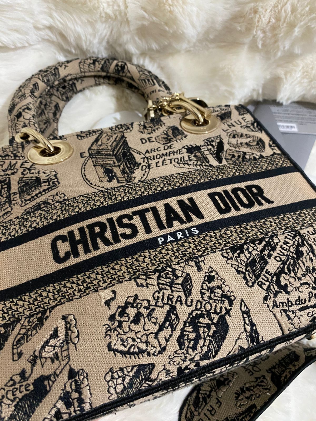 Christian Dior Lady D-Lite Medium