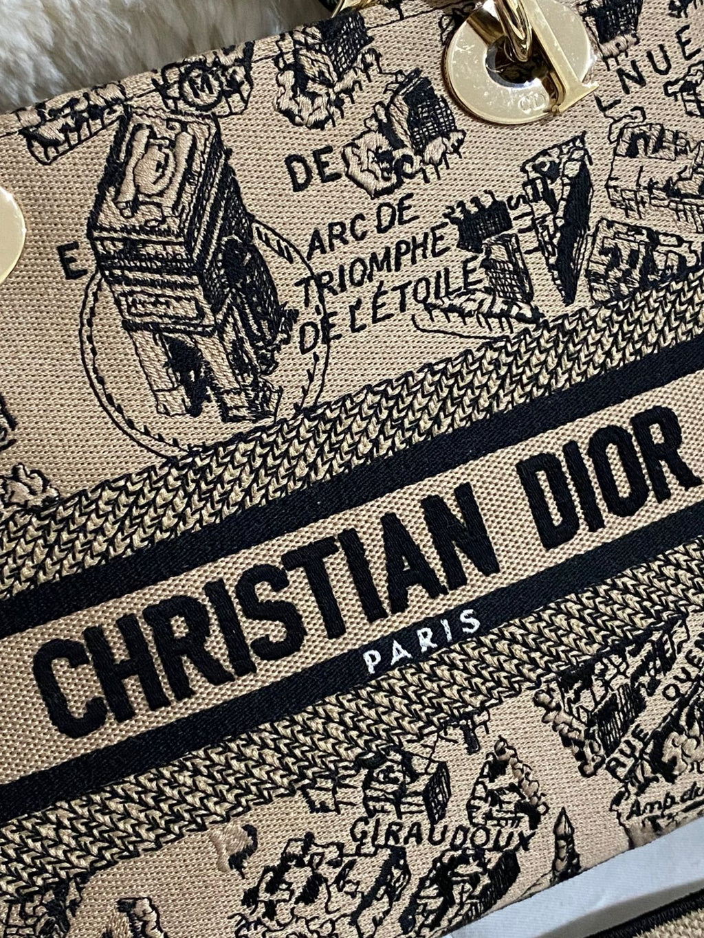 Christian Dior Lady D-Lite Medium