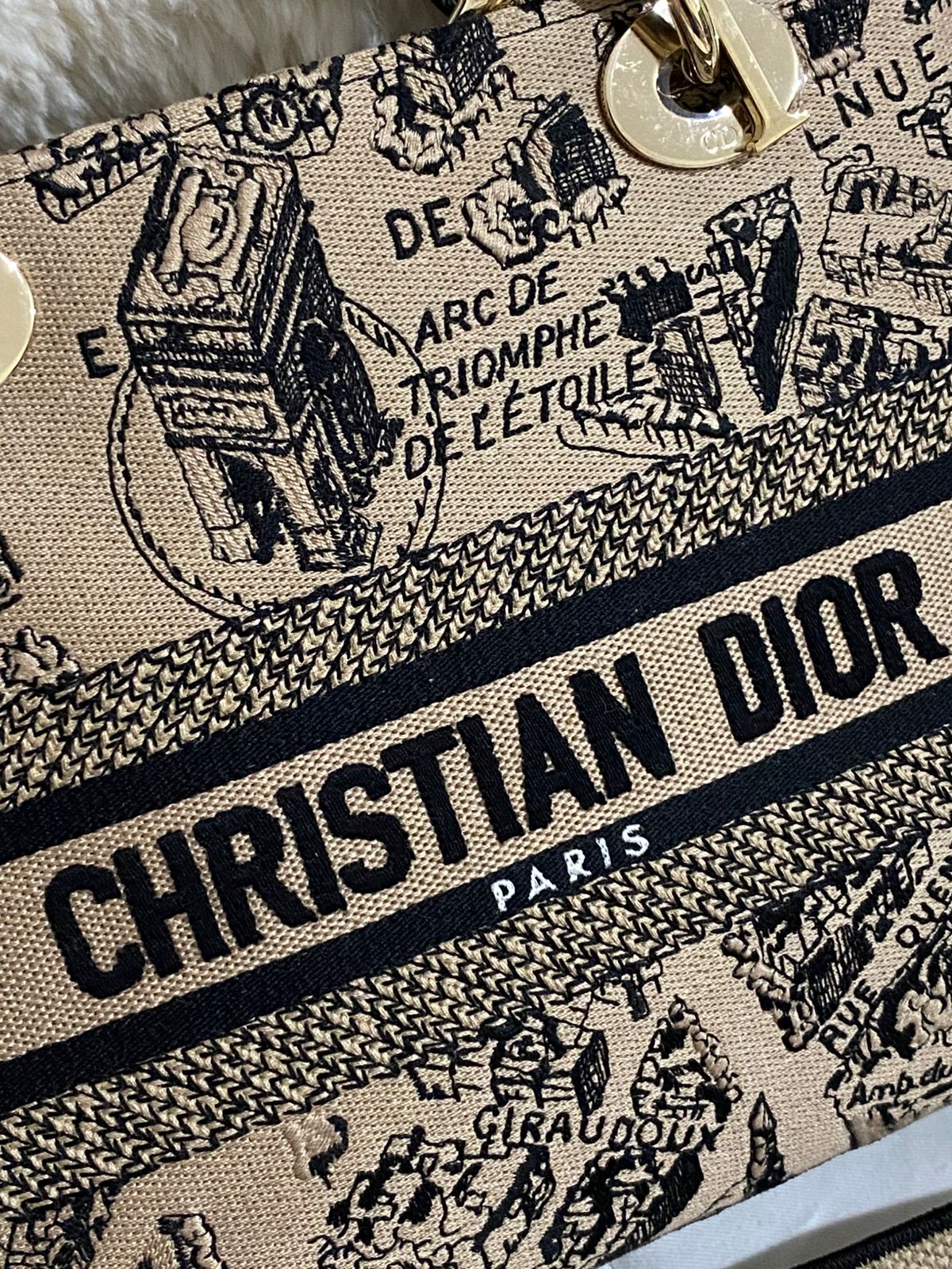 Christian Dior Lady D-Lite Medium
