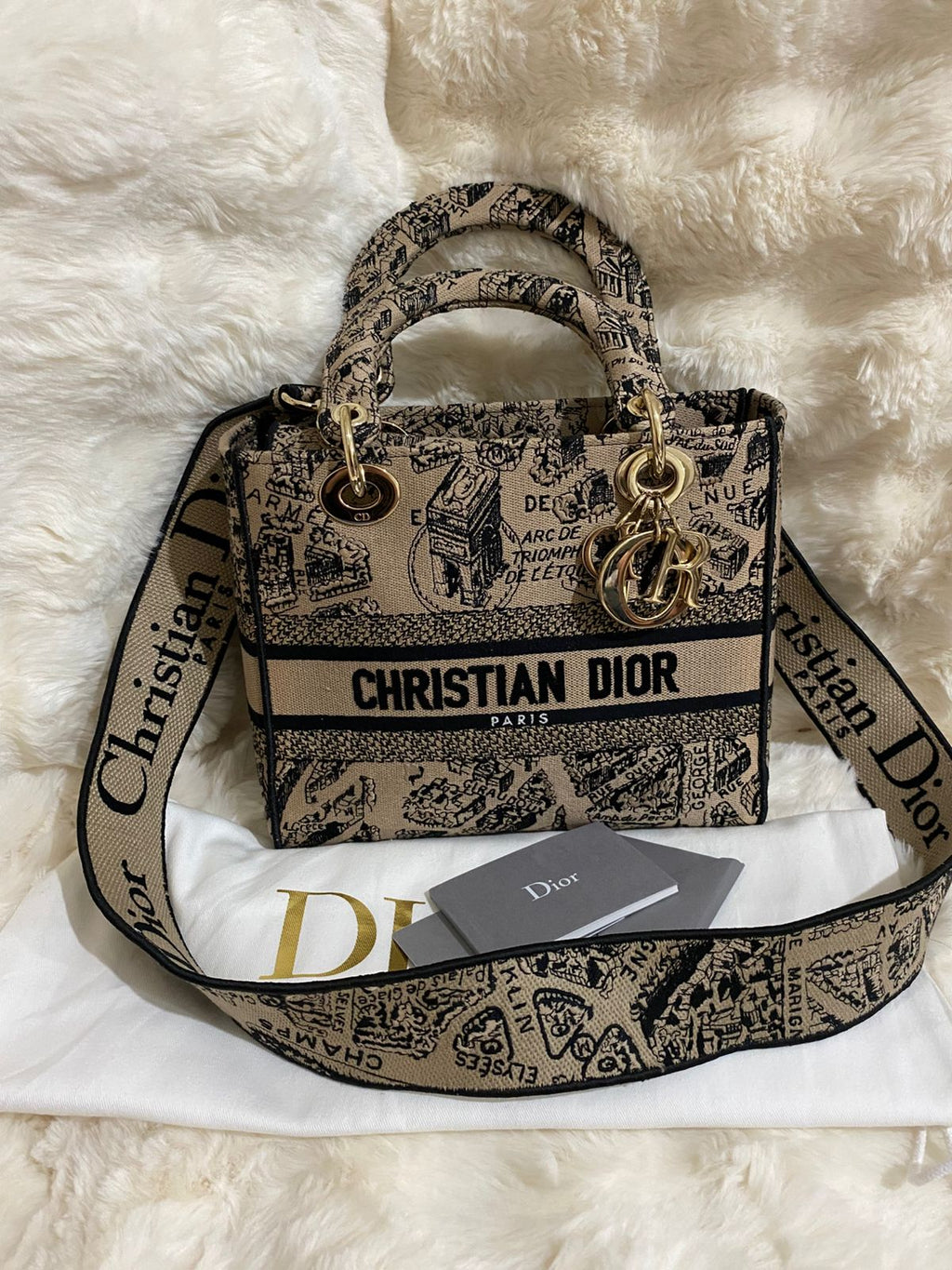Christian Dior Lady D-Lite Medium