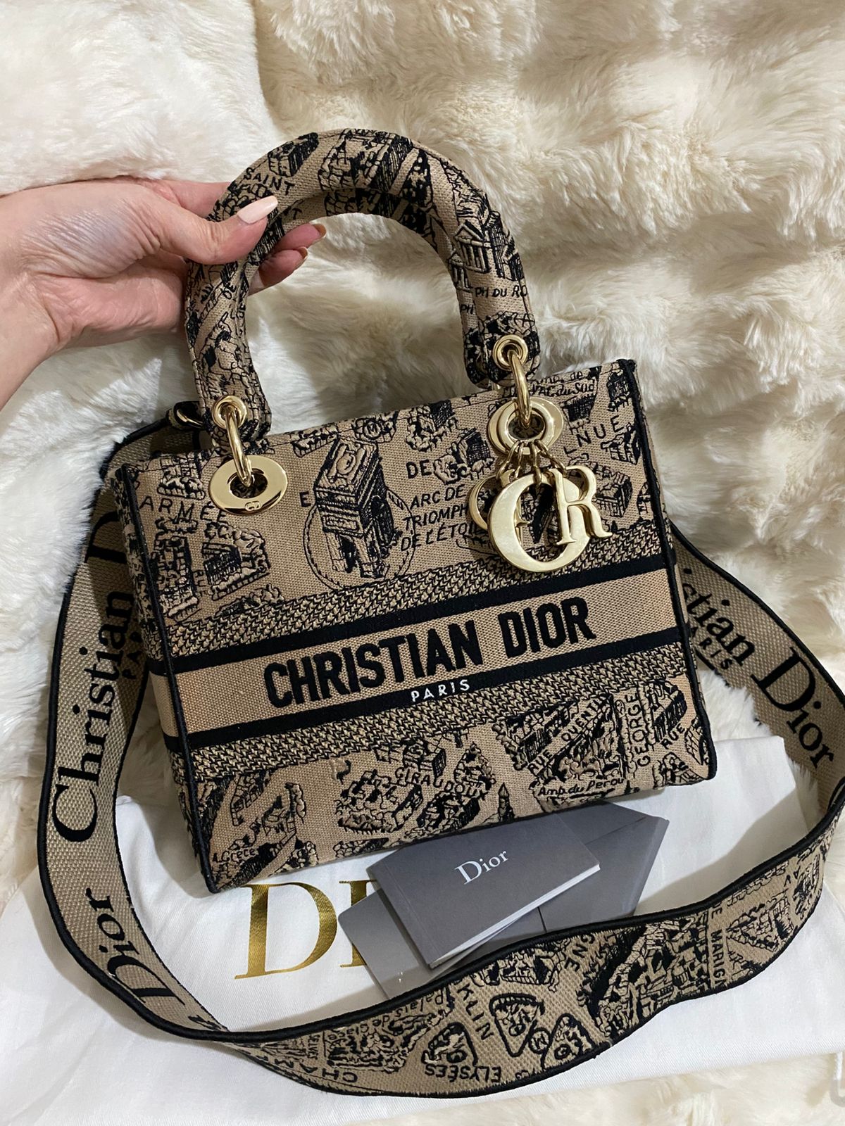 Christian Dior Lady D-Lite Medium
